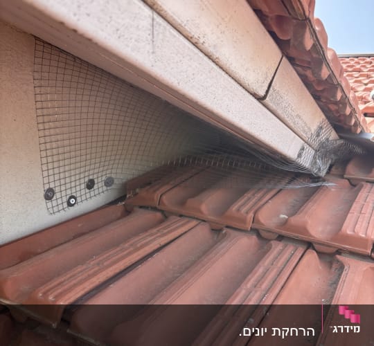 רשת מתכת על גג רעפים למניעת כניסת יונים